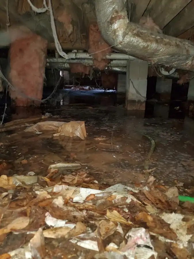 Crawl space flood assessment for Leak Detection & Repair in Pingree Grove