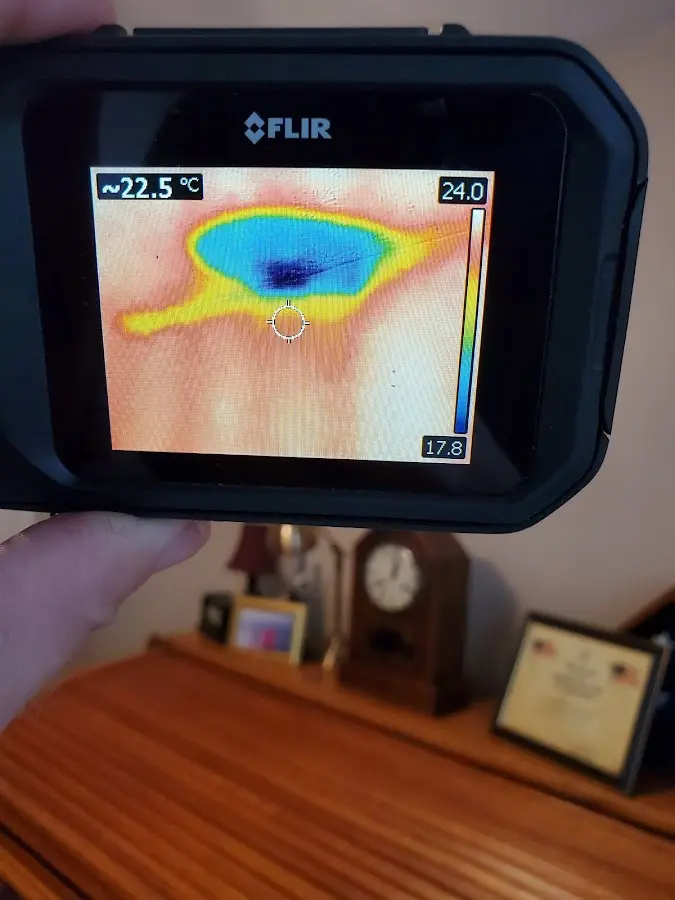 Thermal imaging inspection for water damage in Pingree Grove