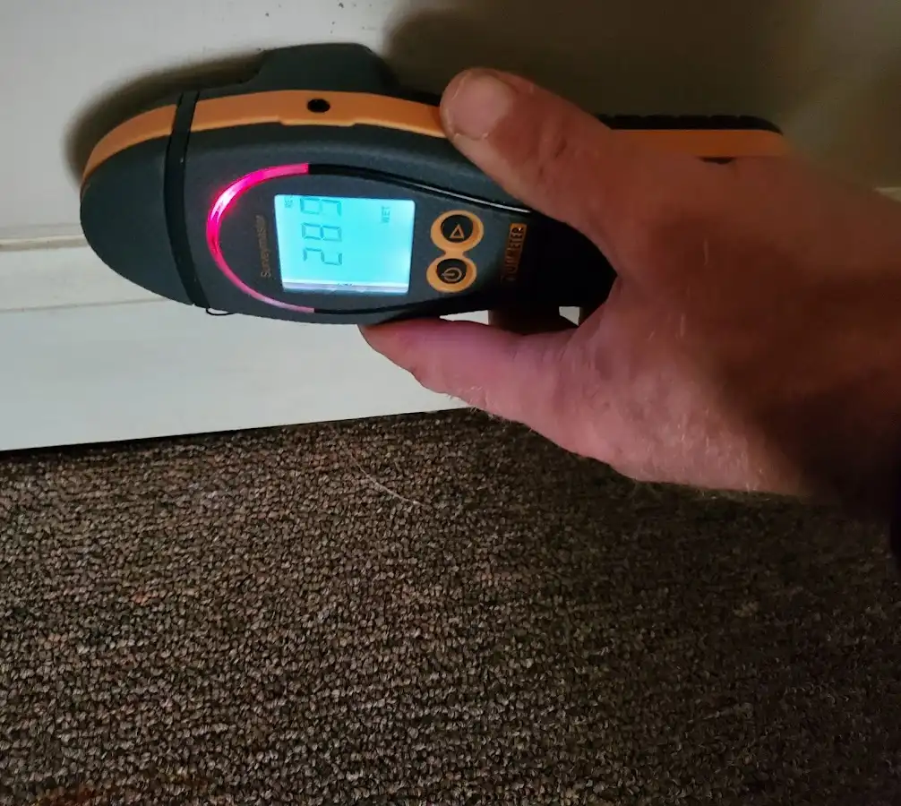 Moisture detection at baseboard during Mold Inspection & Testing in Pingree Grove